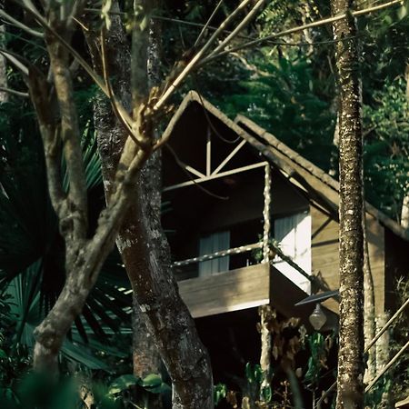 Panchavadi Farm Stay Thekkady Bagian luar foto