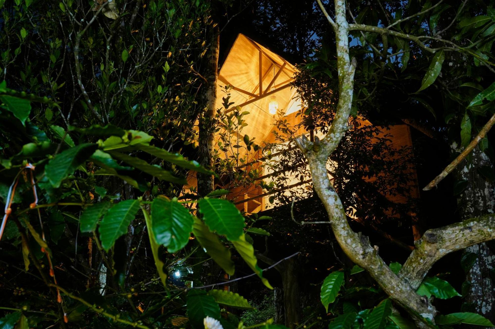 Panchavadi Farm Stay Thekkady Bagian luar foto