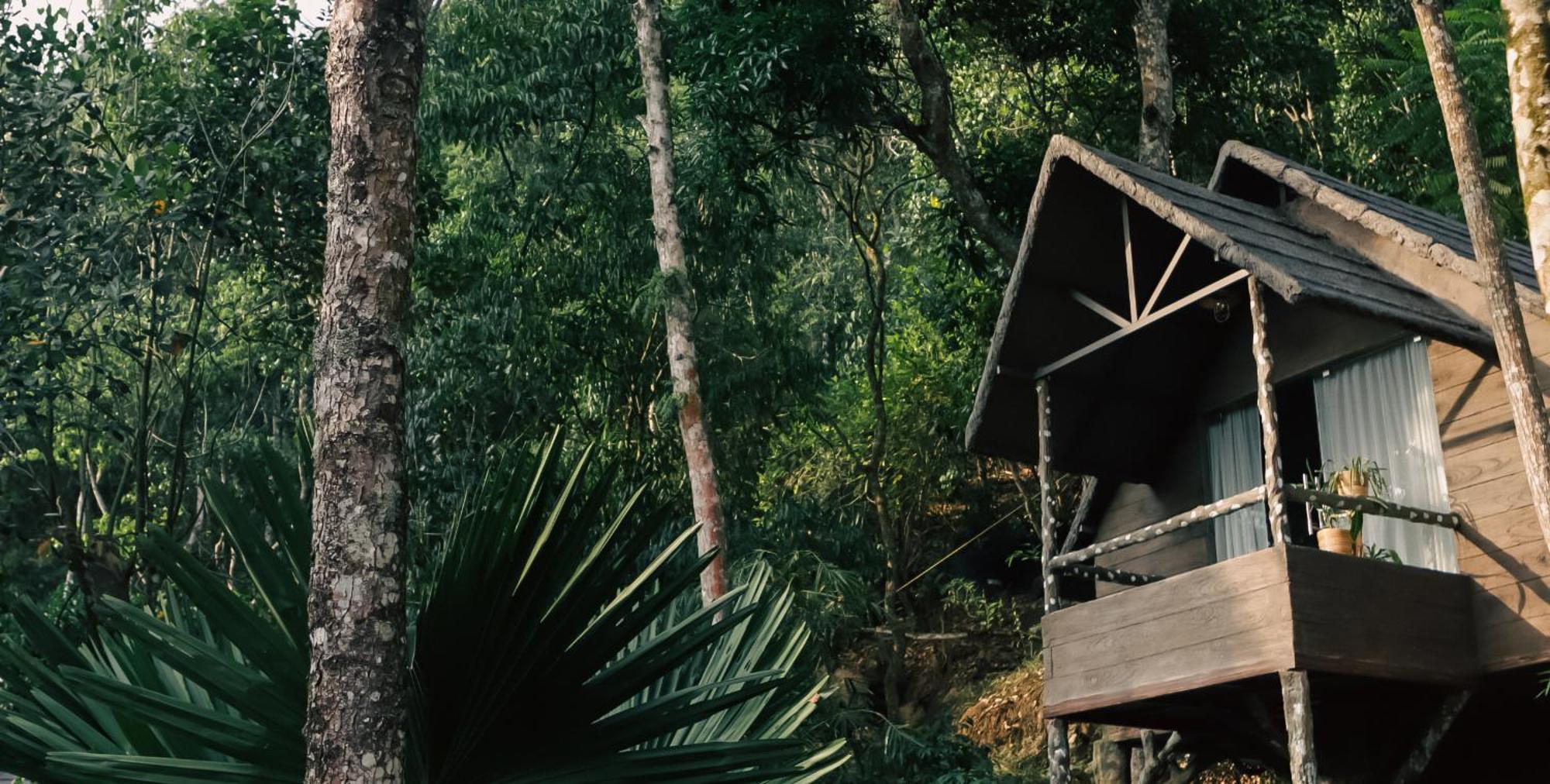 Panchavadi Farm Stay Thekkady Bagian luar foto