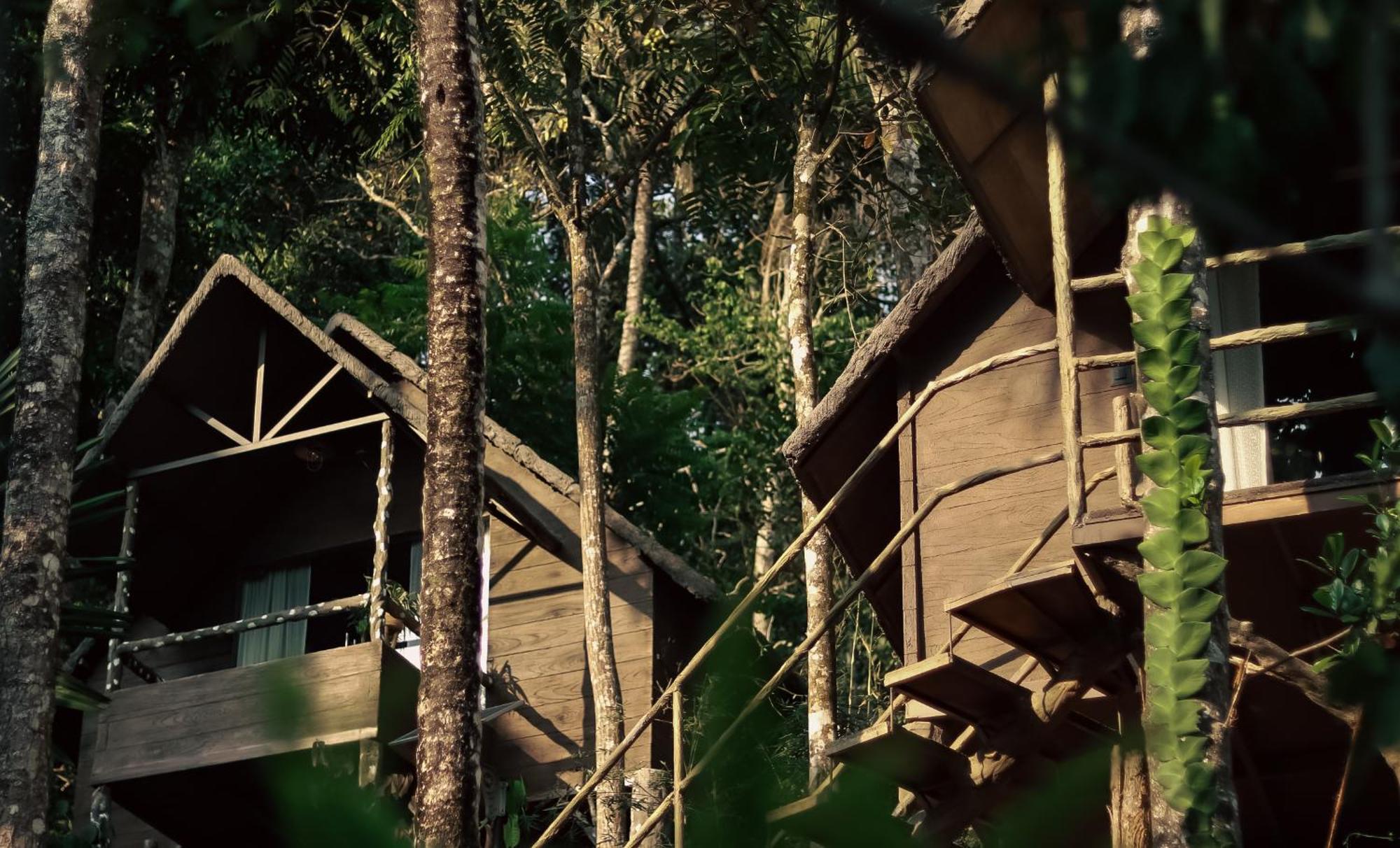 Panchavadi Farm Stay Thekkady Bagian luar foto