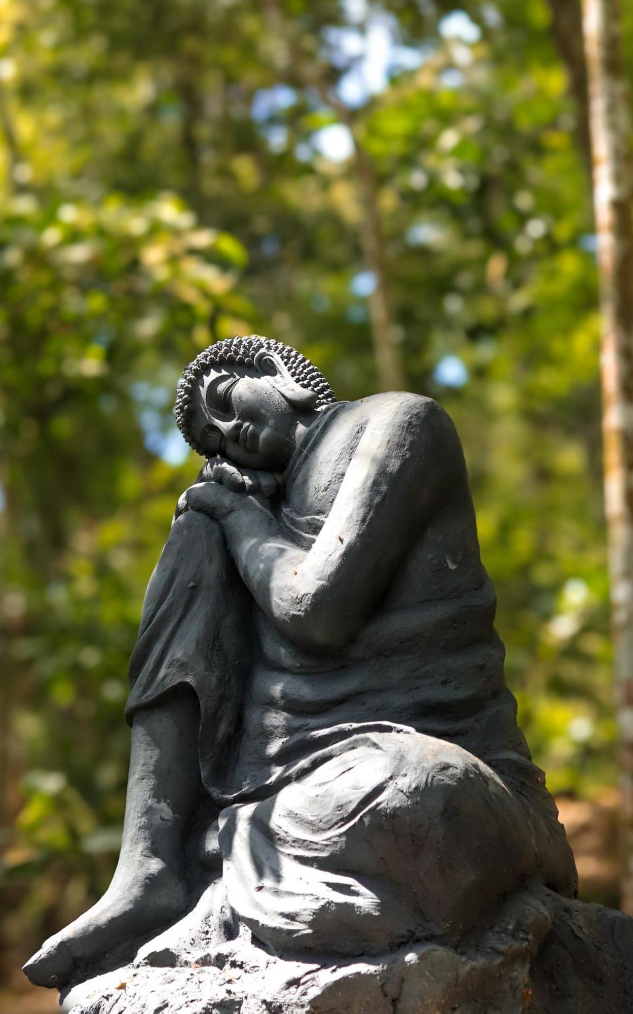 Panchavadi Farm Stay Thekkady Bagian luar foto
